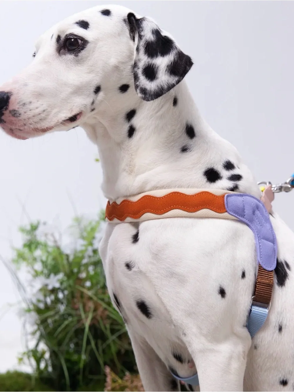 Maogoublue Island V-Shaped Dog Harness